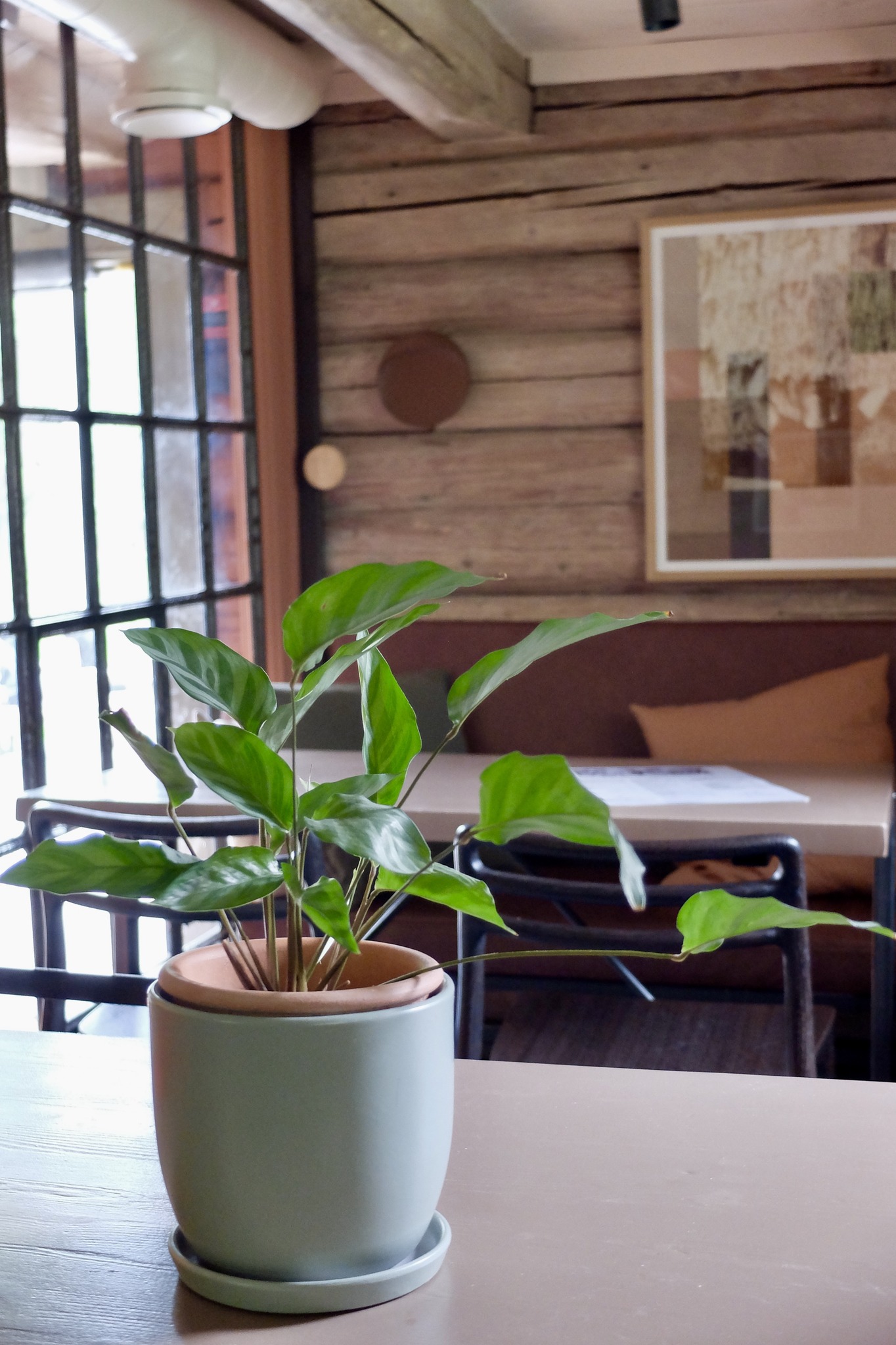 Dining experience at Melboden, Bærums Verk