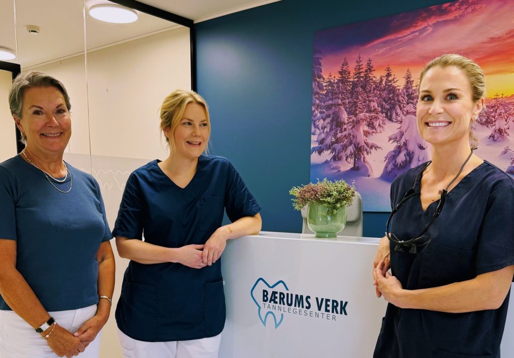 Vinterbilde Bærums Verk