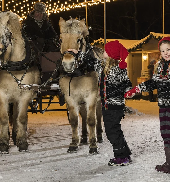 JuleMark_grid_4